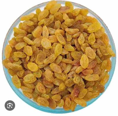 किशमिश 100g
